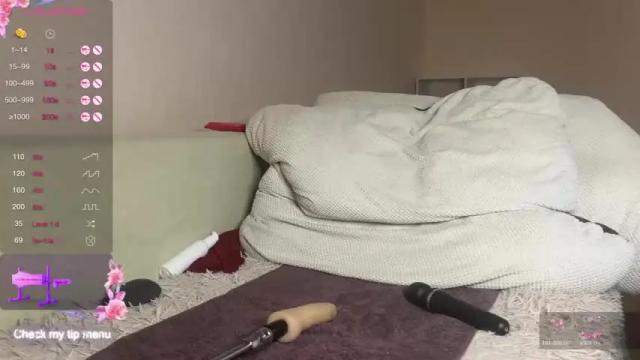 Image 11 of sweety___kate Stream on Chaturbate on 15 months ago
