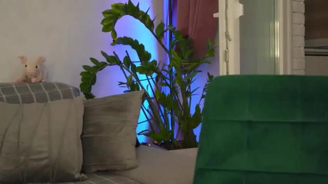 Image 12 of sweety_rinushka_ Stream on Chaturbate on 13 months ago
