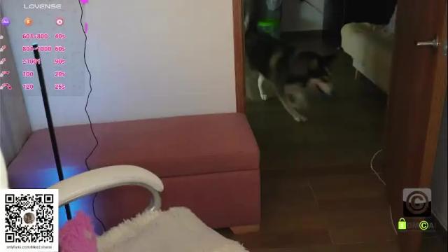 Image 2 of sweety_sharai Stream on Chaturbate on 4 months ago