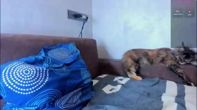 Image 10 of sweetyeverythere Stream on Chaturbate on 4 days ago