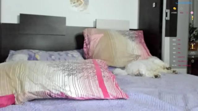 Image 8 of sweetylemon Stream on Chaturbate on 14 months ago