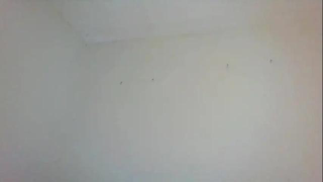 Image 8 of swtebony1 Stream on Chaturbate on 1 month ago
