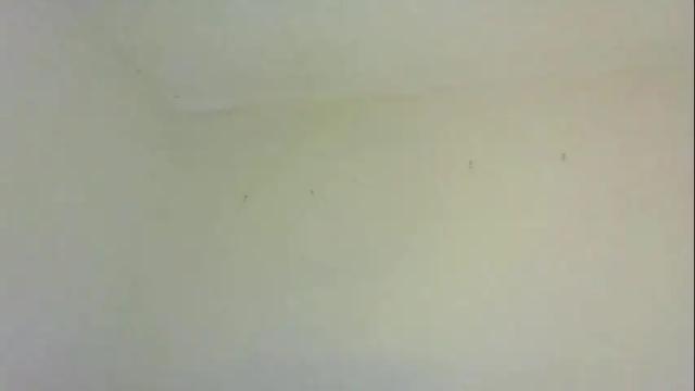 Image 6 of swtebony1 Stream on Chaturbate on 16 days ago