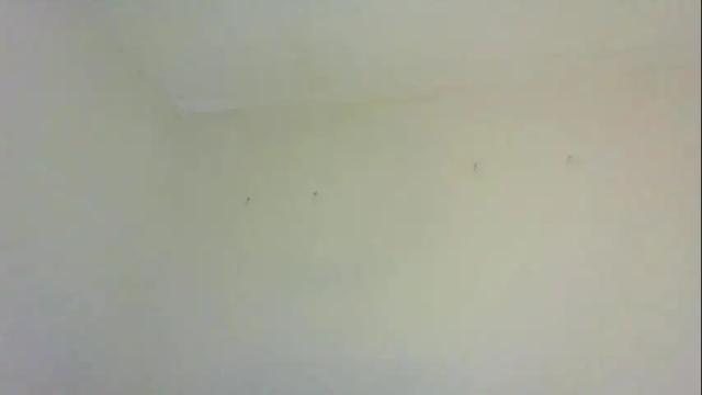 Image 7 of swtebony1 Stream on Chaturbate on 16 days ago