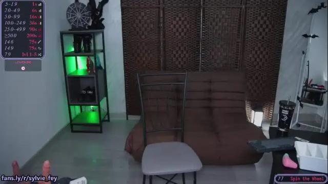 Image 12 of sylvie_fey Stream on Chaturbate on 20 days ago