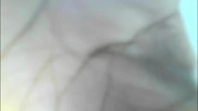 Thumbnail 1, t_okyo's Stream at Chaturbate, 2 months ago