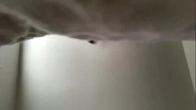 Image 2 of t_princess_t Stream on Chaturbate on 9 months ago