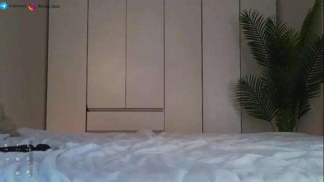 Image 11 of tadammary Stream on Chaturbate on 1 month ago