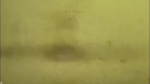 Image 2 of tamanna02 Stream on Chaturbate on 1 month ago