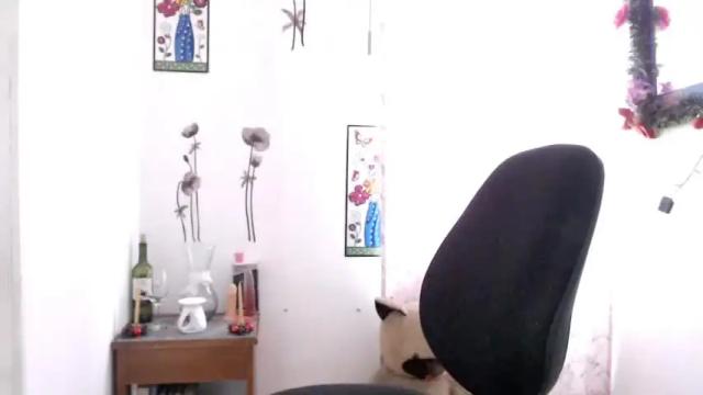 Thumbnail 3, tathanswan's Stream at Chaturbate, 17 months ago