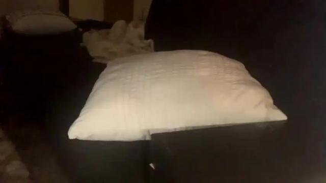 Image 11 of tatiannatease Stream on Chaturbate on 17 months ago