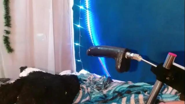 Image 6 of tattiandbugle Stream on Chaturbate on 28 days ago