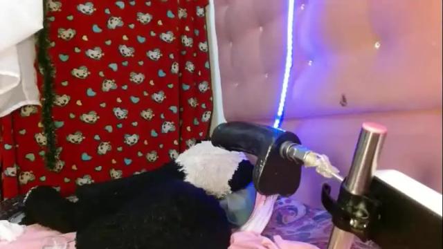 Image 3 of tattiandbugle Stream on Chaturbate on 5 days ago