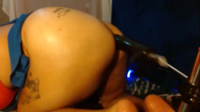 Image 3 of tattiandbugle Stream on Chaturbate on 1 month ago