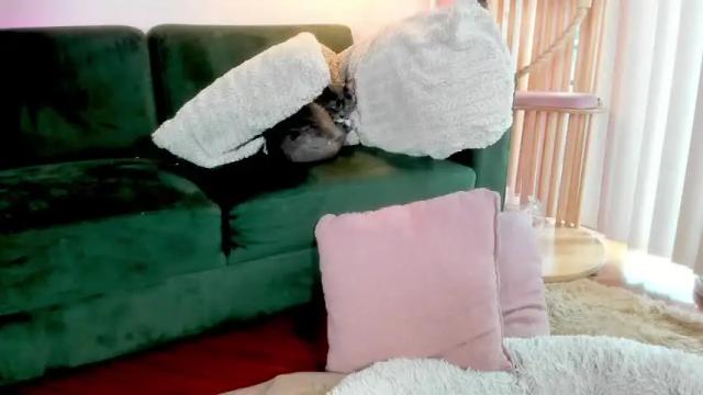 Image 4 of tattoo_ninja_kitty Stream on Chaturbate on 19 days ago