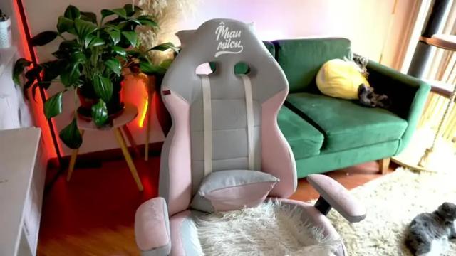 Image 8 of tattoo_ninja_kitty Stream on Chaturbate on 14 days ago