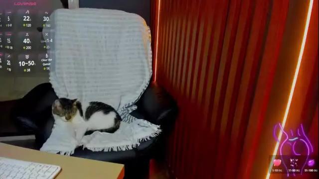 Thumbnail 1, tattoodollx's Stream at Chaturbate, 19 days ago