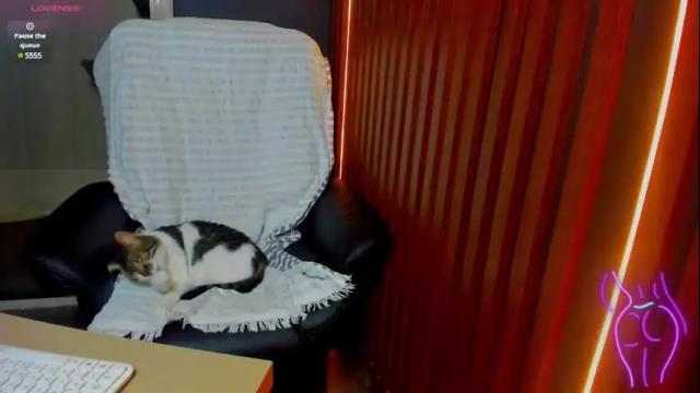Image 2 of tattoodollx Stream on Chaturbate on 20 days ago