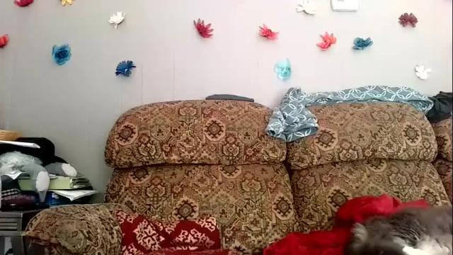 Image 10 of taylorkwinnxxx Stream on Chaturbate on 21 months ago