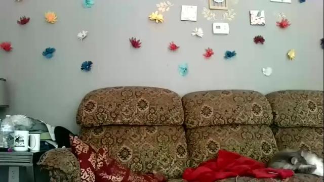 Image 10 of taylorkwinnxxx Stream on Chaturbate on 20 months ago