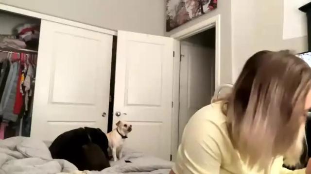 Image 7 of tayweird Stream on Chaturbate on 15 months ago