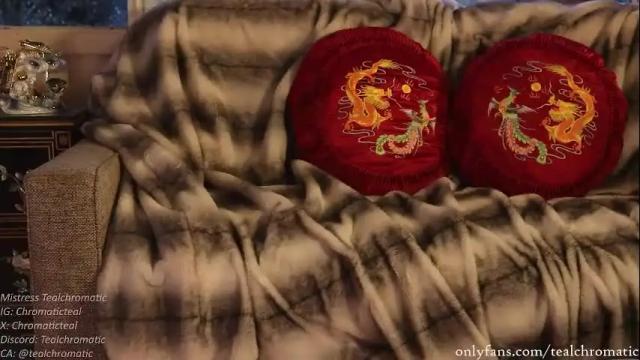 Image 8 of tealchromatic Stream on Chaturbate on 3 months ago