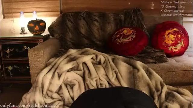 Thumbnail 2, tealchromatic's Stream at Chaturbate, 2 months ago