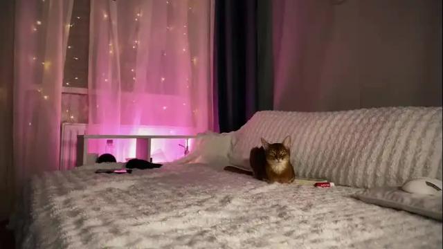 Image 3 of technoelf Stream on Chaturbate on 3 months ago