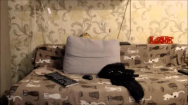 Image 4 of tender__ada Stream on Chaturbate on 9 days ago