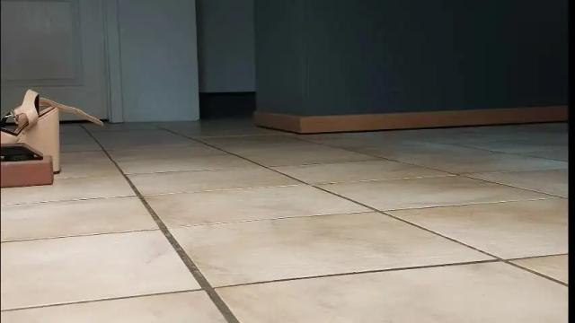 Image 2 of teninchheels Stream on Chaturbate on 1 month ago