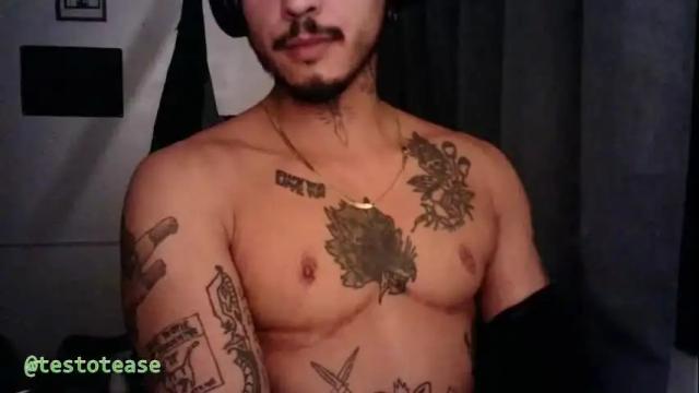 Image 8 of testotease Stream on Chaturbate on 22 days ago