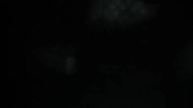 Thumbnail 3, thaidancer's Stream at Chaturbate, 1 month ago