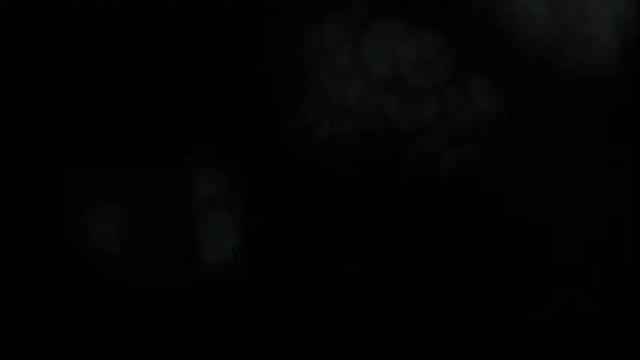 Image 7 of thaidancer Stream on Chaturbate on 1 month ago