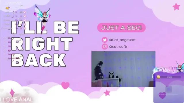 Thumbnail 1, the_cat_girl_'s Stream at Chaturbate, 13 months ago