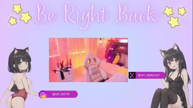 Image 12 of the_cat_girl_ Stream on Chaturbate on 6 days ago