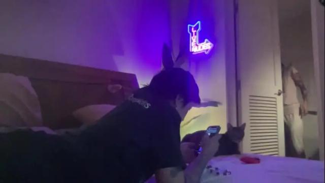 Thumbnail 1, the_emmarouge's Stream at Chaturbate, 2 months ago
