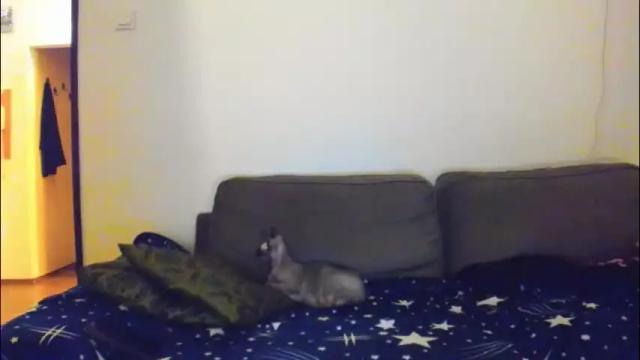 Thumbnail 1, the_imperfect_one's Stream at Chaturbate, 1 month ago
