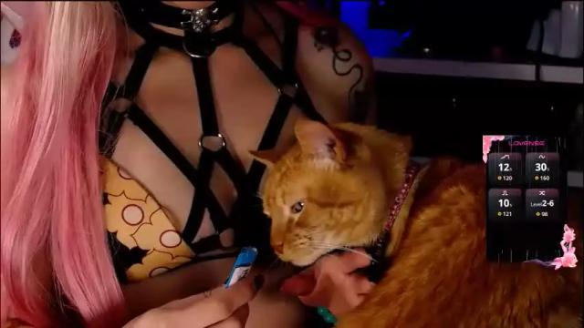 Image 11 of the_kitty_roxy Stream on Chaturbate on 22 days ago