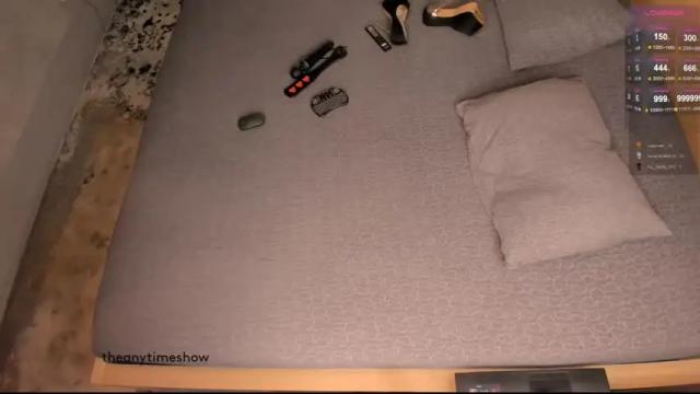 Image 11 of theanytimeshow Stream on Chaturbate on 25 days ago