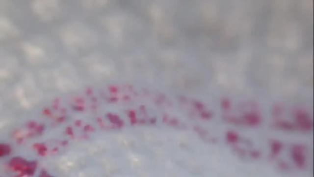 Image 12 of theasianfantasy Stream on Chaturbate on 19 months ago