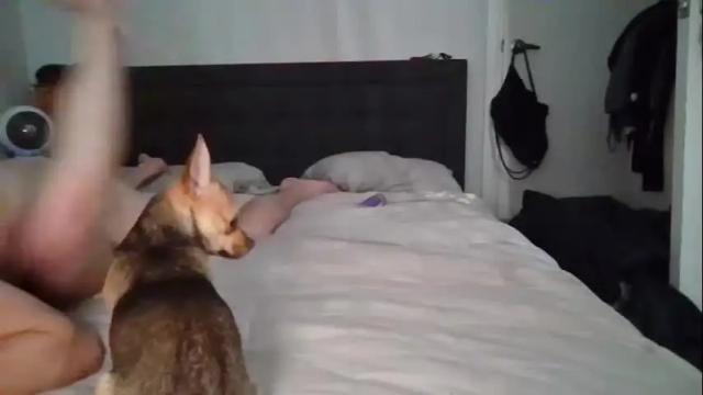 Image 12 of thedoublejshow87 Stream on Chaturbate on 19 months ago
