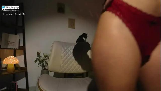 Image 10 of thegingerp Stream on Chaturbate on 17 days ago