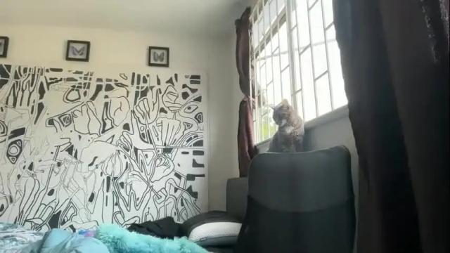 Thumbnail 1, thematryoshka's Stream at Chaturbate, 3 months ago