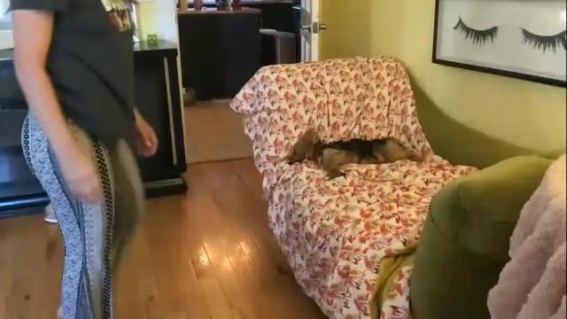 Image 11 of themrsnelson Stream on Chaturbate on 2 months ago