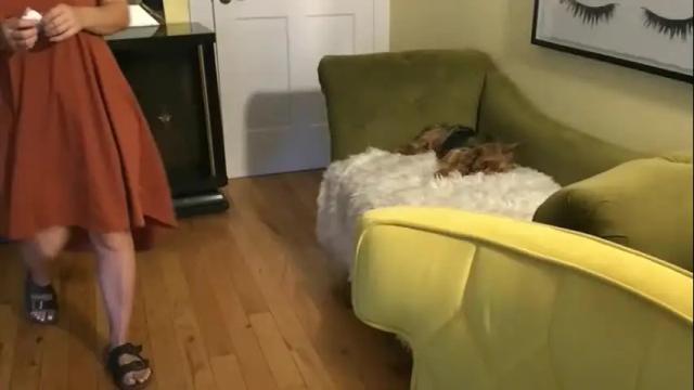 Thumbnail 3, themrsnelson's Stream at Chaturbate, 1 month ago