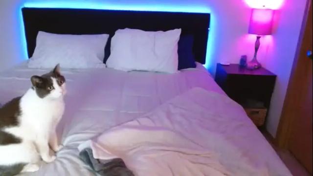 Image 12 of thenaughty1baby_2 Stream on Chaturbate on 18 months ago