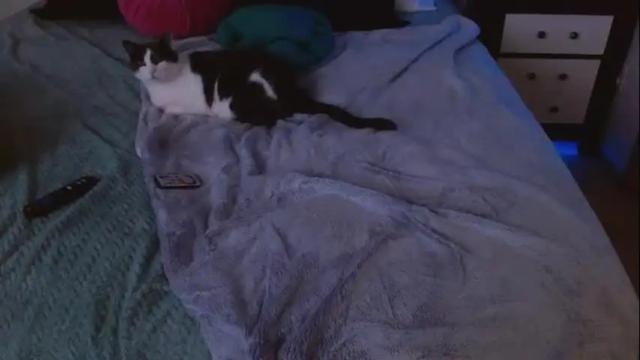 Image 4 of thenaughty1baby_2 Stream on Chaturbate on 14 months ago