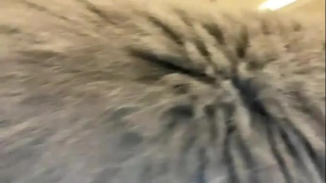 Image 6 of therealcamilabaddie Stream on Chaturbate on 10 days ago