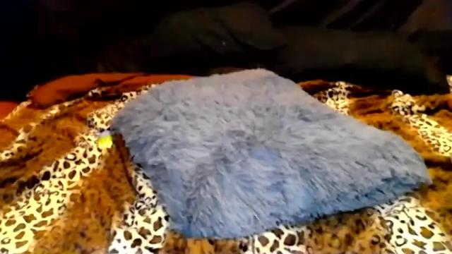 Image 12 of thescorpionqueen Stream on Chaturbate on 14 months ago