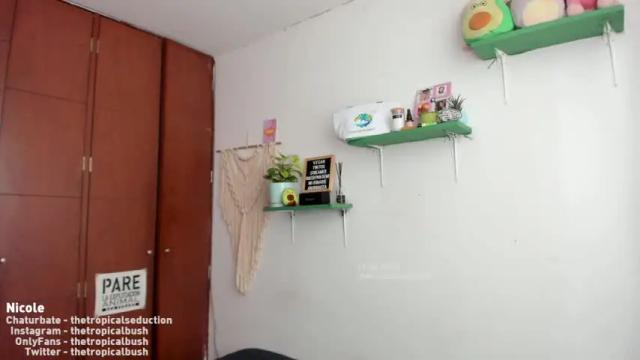 Image 6 of thetropicalseduction Stream on Chaturbate on 12 months ago